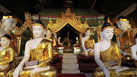 Десять цветов